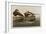 Long-Tailed Duck, 1836-John James Audubon-Framed Giclee Print