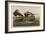 Long-Tailed Duck, 1836-John James Audubon-Framed Giclee Print