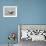 Long-Tailed Duck (Clangula Hyemalis) Male Leaning Forward in Water, Iceland-Markus Varesvuo-Framed Photographic Print displayed on a wall