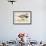 Long Tailed Duck-Beverley R. Morris-Framed Giclee Print displayed on a wall