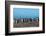 Long-tailed gentoo penguin colony (Pygoscelis papua), Saunders Island, Falklands, South America-Michael Runkel-Framed Photographic Print