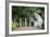 Long-Tailed Macaque at Batu Caves, Kuala Lumpur, Malaysia-Paul Souders-Framed Photographic Print