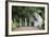 Long-Tailed Macaque at Batu Caves, Kuala Lumpur, Malaysia-Paul Souders-Framed Photographic Print