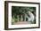 Long-Tailed Macaque at Batu Caves, Kuala Lumpur, Malaysia-Paul Souders-Framed Photographic Print