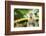 Long Tailed Macaque (Macaca Fascicularis), Indonesia, Southeast Asia-John Alexander-Framed Photographic Print