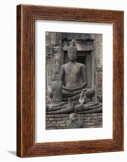 Long-Tailed Macaque (Macaca Fascicularis) Juvenile Male and Female Flossing Teeth with Human Hair-Mark Macewen-Framed Photographic Print