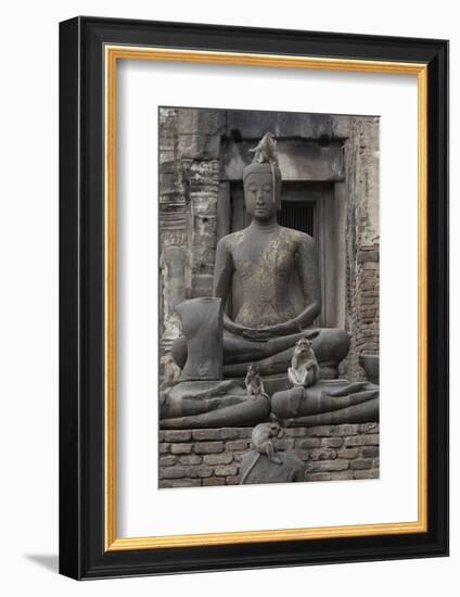 Long-Tailed Macaque (Macaca Fascicularis) Juvenile Male and Female Flossing Teeth with Human Hair-Mark Macewen-Framed Photographic Print