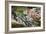 Long-tailed Macaque Mother And Baby-Georgette Douwma-Framed Photographic Print