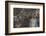 Long-Tailed Macaques (Macaca Fascicularis) Group of Juveniles on Steps at Monkey Temple-Mark Macewen-Framed Photographic Print