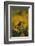 Long-Tailed Meadowlark on Bush-DLILLC-Framed Photographic Print
