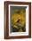 Long-Tailed Meadowlark on Bush-DLILLC-Framed Photographic Print