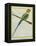 Long-Tailed Parakeet-Georges-Louis Buffon-Framed Premier Image Canvas