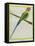 Long-Tailed Parakeet-Georges-Louis Buffon-Framed Premier Image Canvas