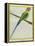 Long-Tailed Parakeet-Georges-Louis Buffon-Framed Premier Image Canvas
