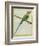 Long-Tailed Parakeet-Georges-Louis Buffon-Framed Giclee Print