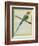 Long-Tailed Parakeet-Georges-Louis Buffon-Framed Giclee Print