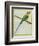 Long-Tailed Parakeet-Georges-Louis Buffon-Framed Giclee Print