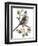 Long Tailed Tit and Cherry Blossom-Nell Hill-Framed Giclee Print