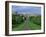 Long Walk from Windsor Castle, Berkshire, England, United Kingdom, Europe-Woolfitt Adam-Framed Photographic Print