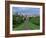 Long Walk from Windsor Castle, Berkshire, England, United Kingdom, Europe-Woolfitt Adam-Framed Photographic Print