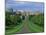 Long Walk from Windsor Castle, Berkshire, England, United Kingdom, Europe-Woolfitt Adam-Mounted Photographic Print
