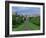 Long Walk from Windsor Castle, Berkshire, England, United Kingdom, Europe-Woolfitt Adam-Framed Photographic Print