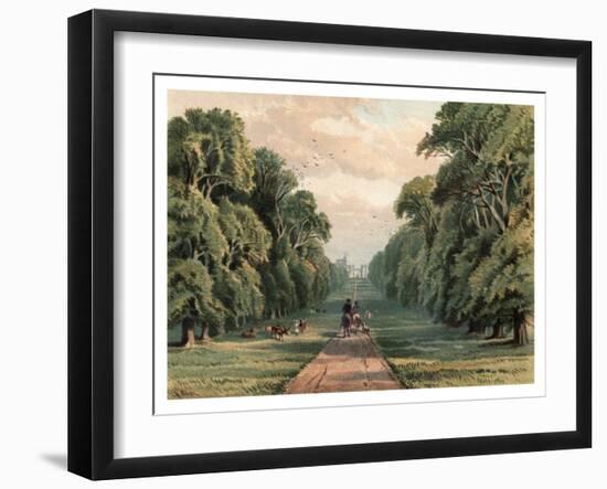 Long Walk, Windsor Park, 1880-F Jones-Framed Giclee Print