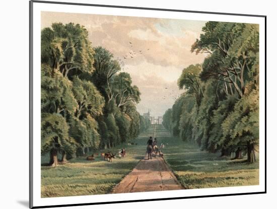 Long Walk, Windsor Park, 1880-F Jones-Mounted Giclee Print