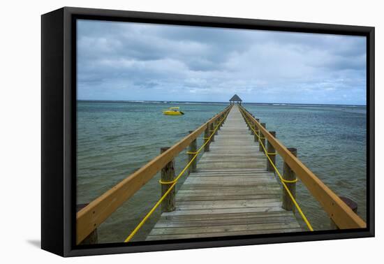 Long Wooden Pier, Coral Coast, Viti Levu, Fiji, South Pacific-Michael Runkel-Framed Premier Image Canvas