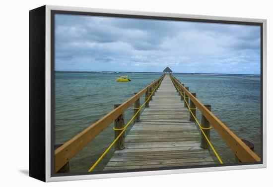 Long Wooden Pier, Coral Coast, Viti Levu, Fiji, South Pacific-Michael Runkel-Framed Premier Image Canvas