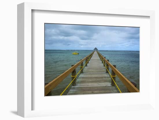 Long Wooden Pier, Coral Coast, Viti Levu, Fiji, South Pacific-Michael Runkel-Framed Photographic Print