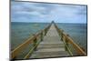 Long Wooden Pier, Coral Coast, Viti Levu, Fiji, South Pacific-Michael Runkel-Mounted Photographic Print