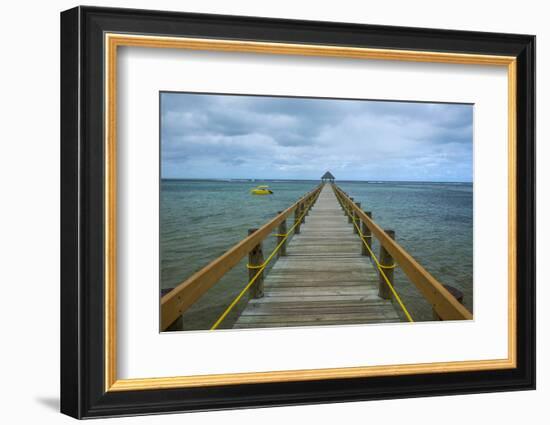 Long Wooden Pier, Coral Coast, Viti Levu, Fiji, South Pacific-Michael Runkel-Framed Photographic Print