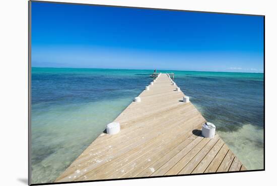 Long wooden pier in the turquoise waters of Providenciales, Turks and Caicos, Caribbean-Michael Runkel-Mounted Photographic Print