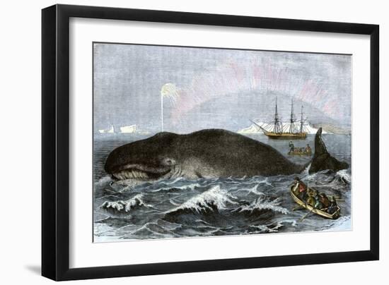 Longboat Crew Attacking a Whale with Hand Harpoons in the Arctic, c.1800-null-Framed Giclee Print