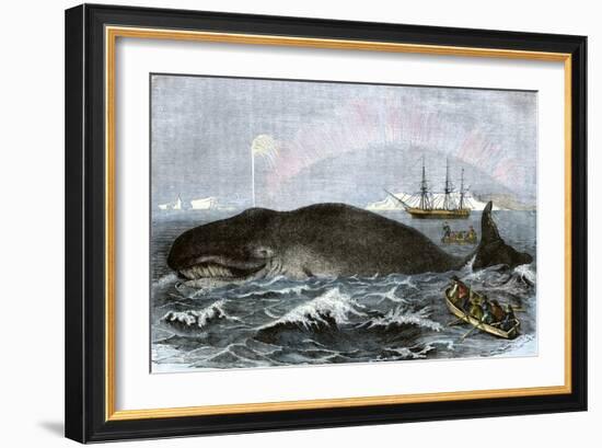 Longboat Crew Attacking a Whale with Hand Harpoons in the Arctic, c.1800-null-Framed Giclee Print