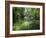 Longboats Moored in Creek Amid Rain Forest, Island of Borneo, Malaysia-Richard Ashworth-Framed Photographic Print