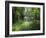 Longboats Moored in Creek Amid Rain Forest, Island of Borneo, Malaysia-Richard Ashworth-Framed Photographic Print