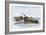 Longboats Racing to Harpoon a Whale-null-Framed Giclee Print