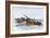 Longboats Racing to Harpoon a Whale-null-Framed Giclee Print