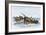 Longboats Racing to Harpoon a Whale-null-Framed Giclee Print