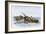 Longboats Racing to Harpoon a Whale-null-Framed Giclee Print