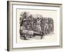 Longbowmen at the Battle of Falkirk-Pat Nicolle-Framed Giclee Print