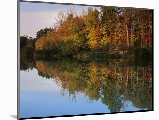 Longford Lake, Fairfax County, Virginia, USA-Charles Gurche-Mounted Photographic Print