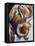 Longhorn Abstract-Marcia Baldwin-Framed Premier Image Canvas