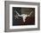 Longhorn Art with Flag-Design Turnpike-Framed Giclee Print