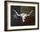 Longhorn Art with Flag-Design Turnpike-Framed Giclee Print