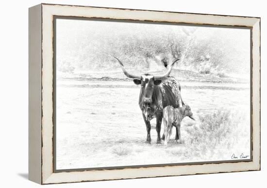 Longhorn & Baby-David Drost-Framed Premier Image Canvas