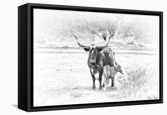 Longhorn & Baby-David Drost-Framed Premier Image Canvas