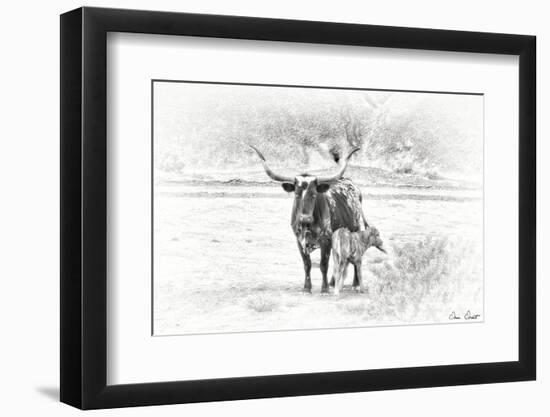 Longhorn & Baby-David Drost-Framed Photographic Print